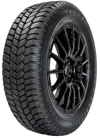 Pneu Hiver 195-65R15 (91Q)